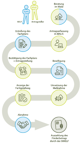 Förderanträge im iBALIS - Waldförderportal stellen